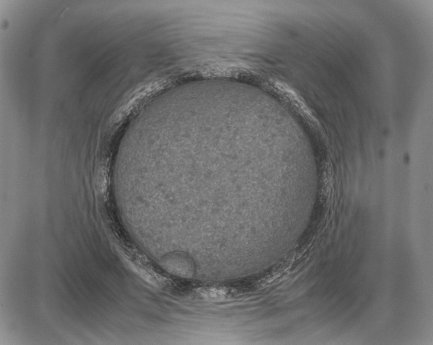 X0000087640687200705241240