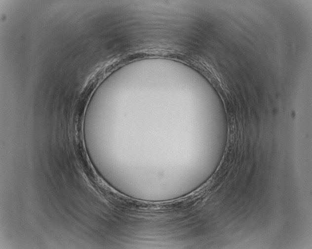 X0000087640688200705241240