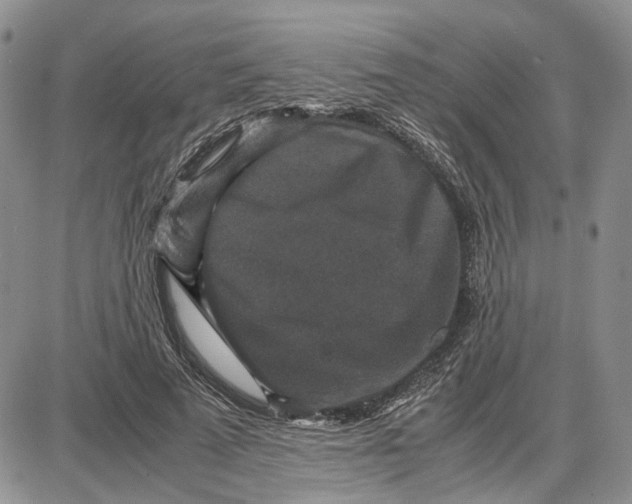 X0000087640689200705241240