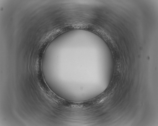 X0000087640690200705241240