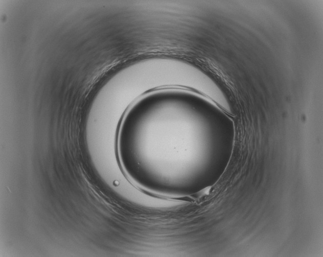 X0000087640692200705241240