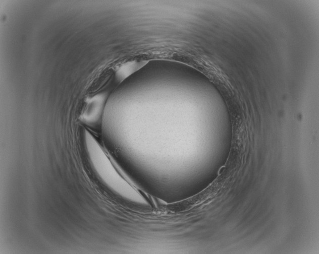 X0000087640693200705241240