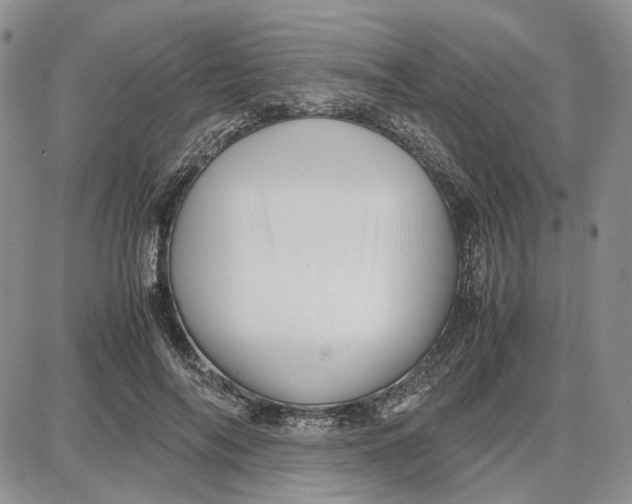 X0000087640694200705241240