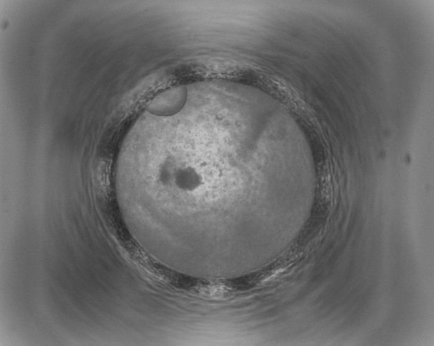 X0000087640695200705241240