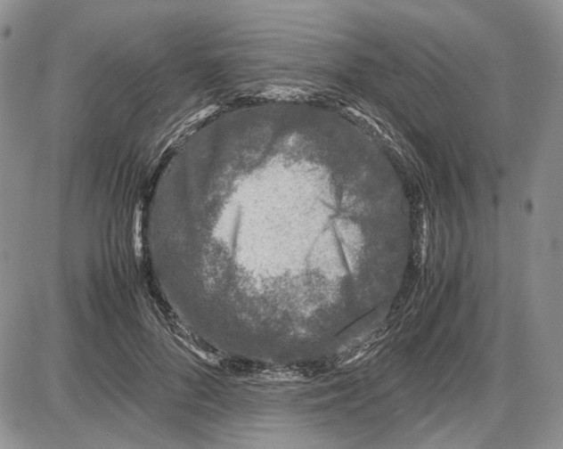 X0000087640696200705241240