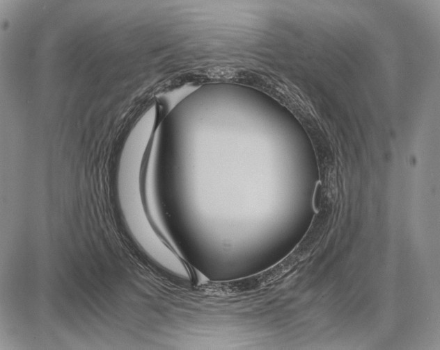 X0000087640697200705241240