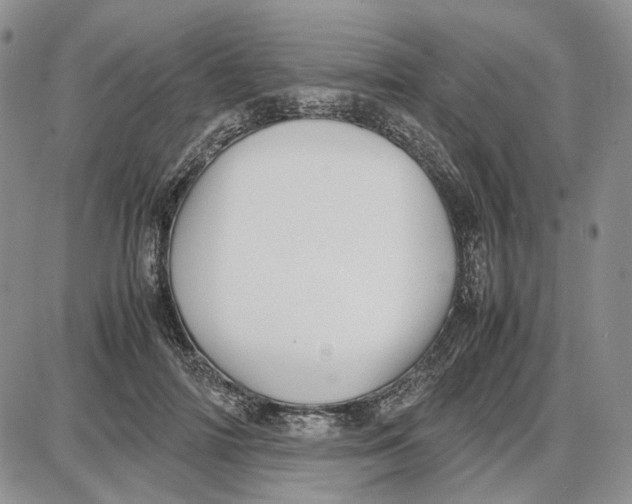 X0000087640698200705241240