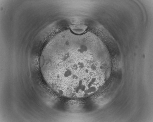 X0000087640699200705241240