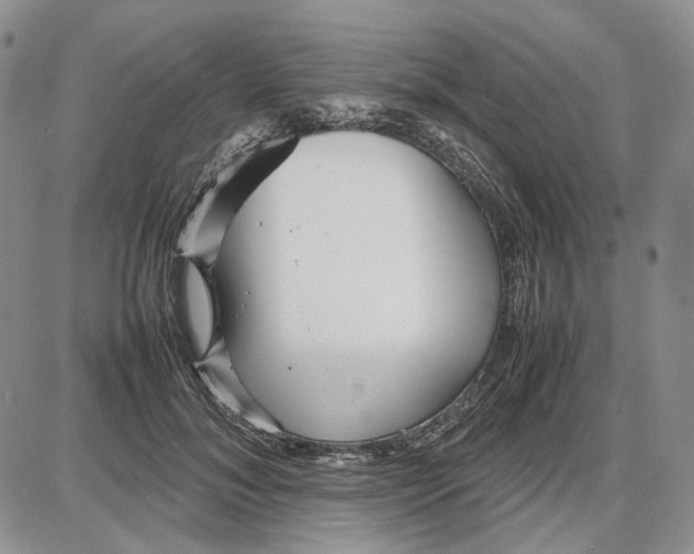 X0000087640700200705241240