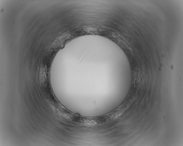 X0000087640702200705241240