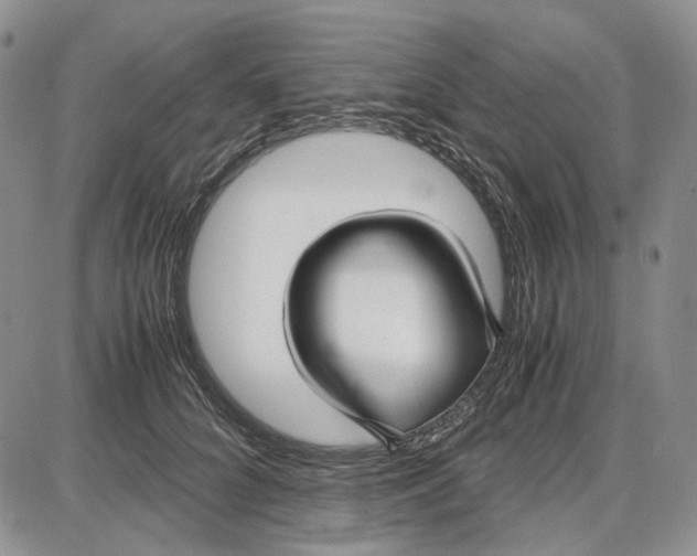 X0000087640704200705241240