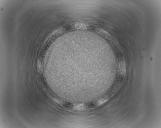 X0000087640705200705241240