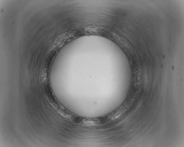 X0000087640706200705241240