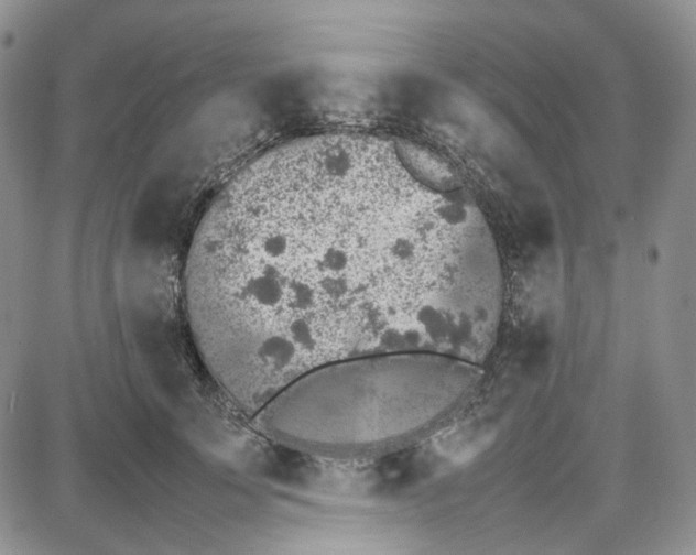 X0000087640707200705241240