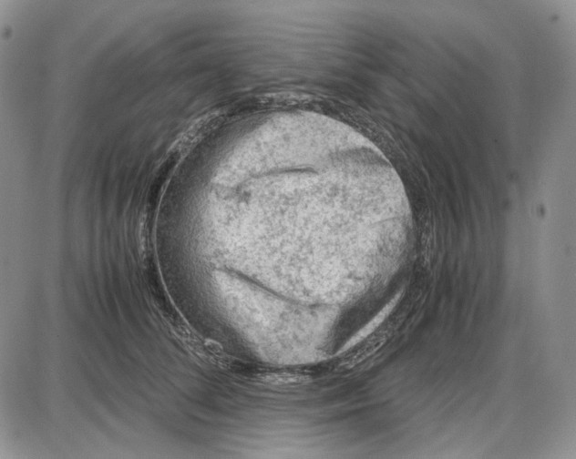 X0000087640708200705241240