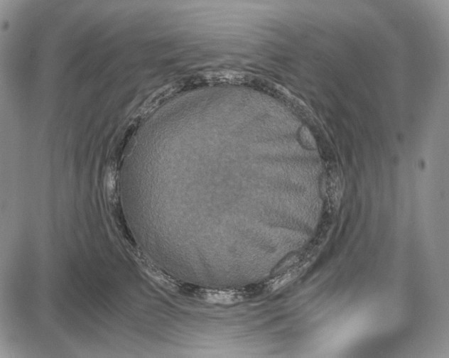 X0000087640709200705241240