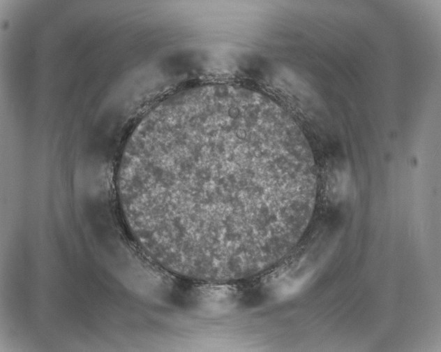 X0000087640711200705241240