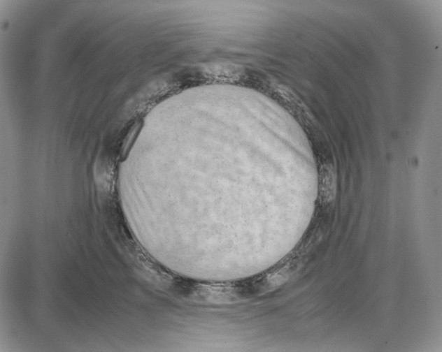 X0000087640713200705241240