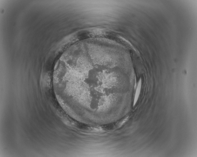 X0000087640715200705241240