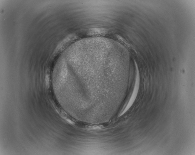 X0000087640716200705241240