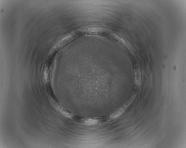 X0000087640718200705241240