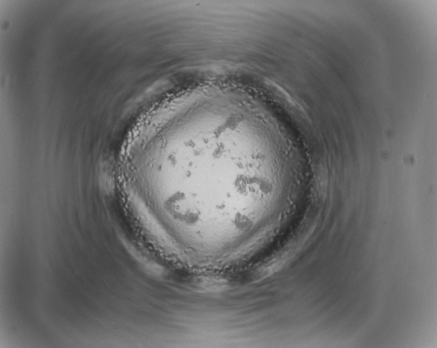 X0000087640719200705241240