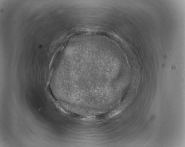 X0000087640720200705241240