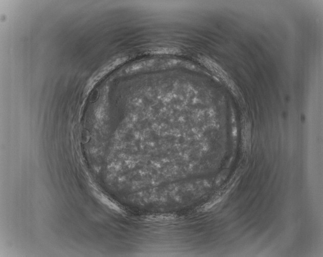 X0000087640721200705241239