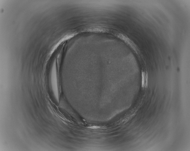 X0000087640723200705241239