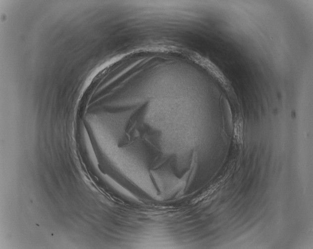 X0000087640724200705241239