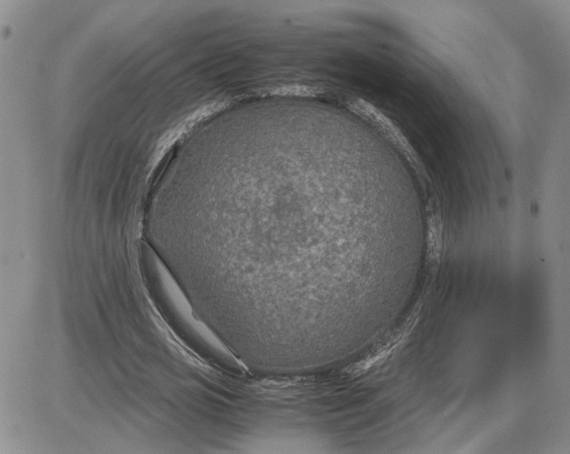 X0000087640725200705241239