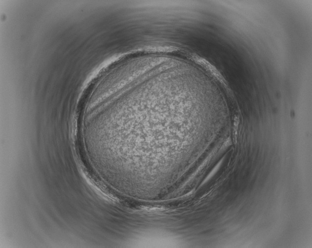 X0000087640726200705241239