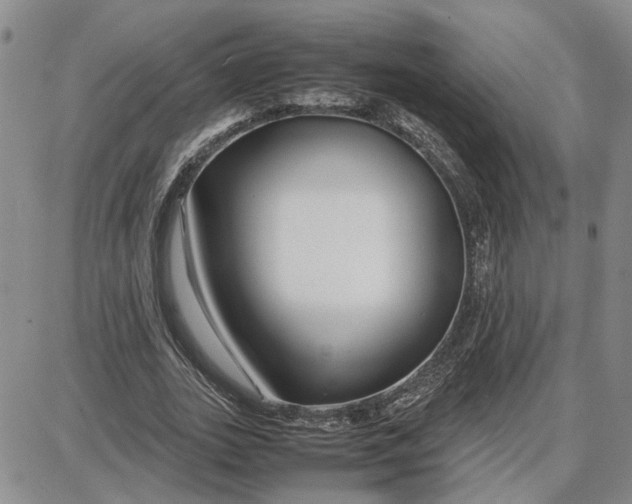 X0000087640727200705241239