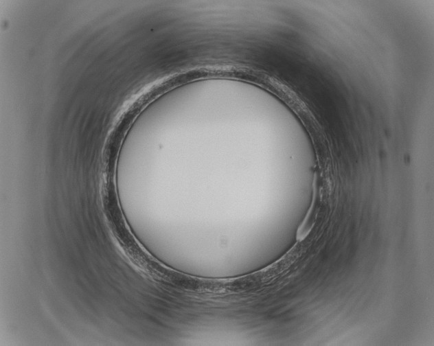 X0000087640728200705241239