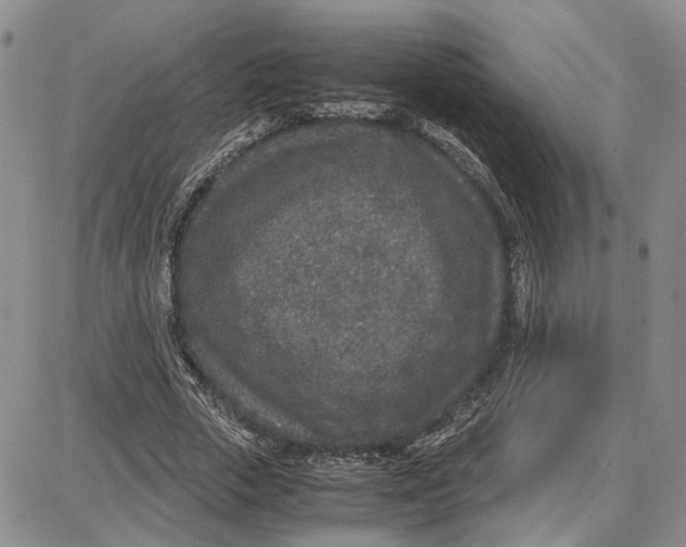 X0000087640729200705241239