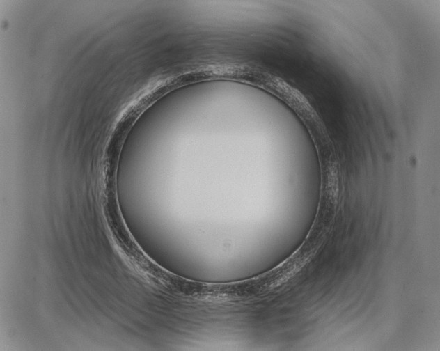 X0000087640730200705241239