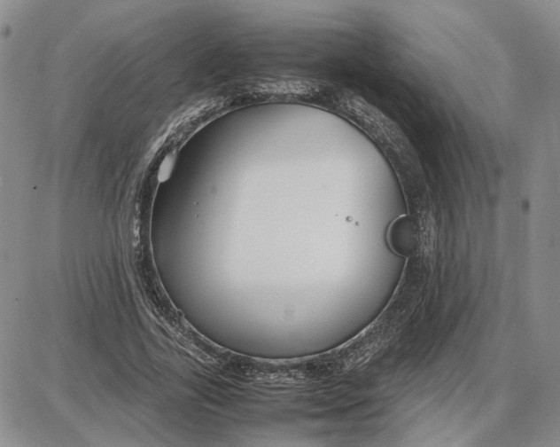 X0000087640731200705241239