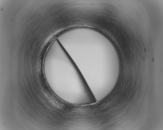 X0000087640732200705241239