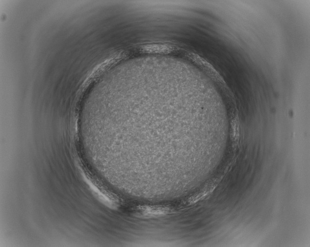 X0000087640733200705241239