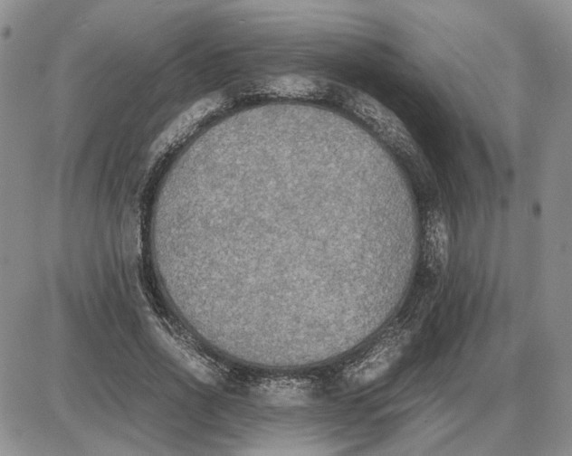 X0000087640734200705241239