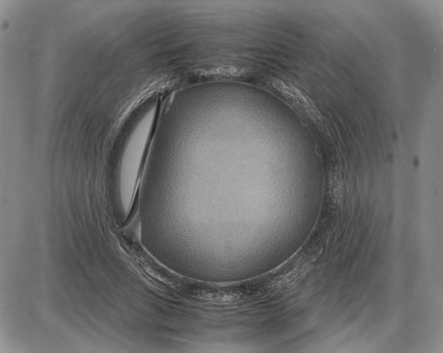 X0000087640735200705241239