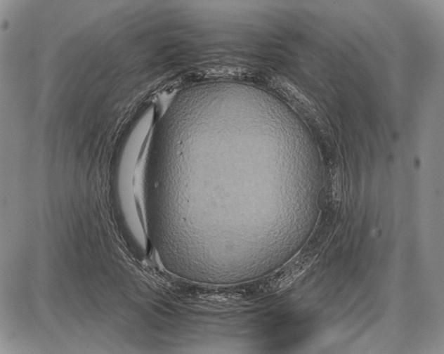 X0000087640737200705241239