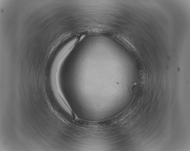 X0000087640738200705241239