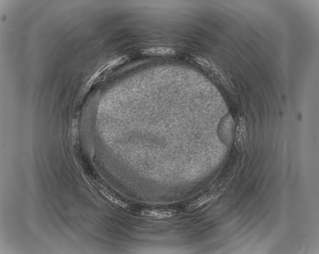 X0000087640739200705241239