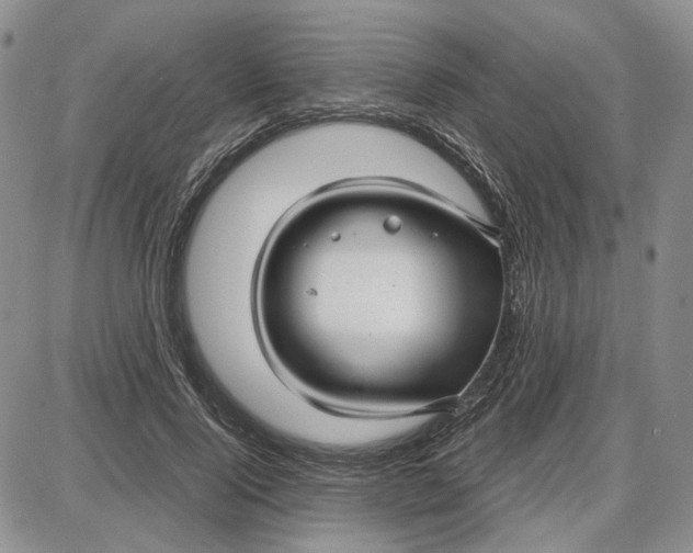 X0000087640740200705241239