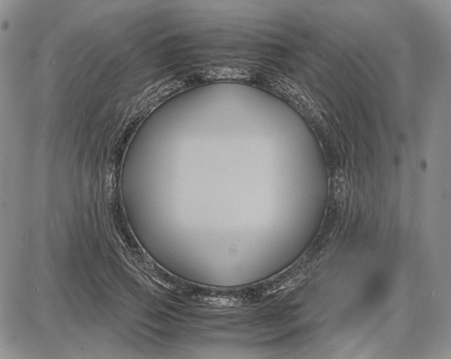 X0000087640741200705241239