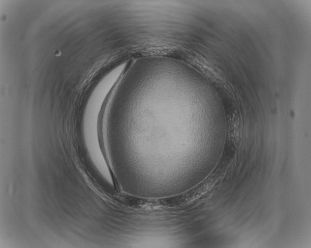 X0000087640742200705241239