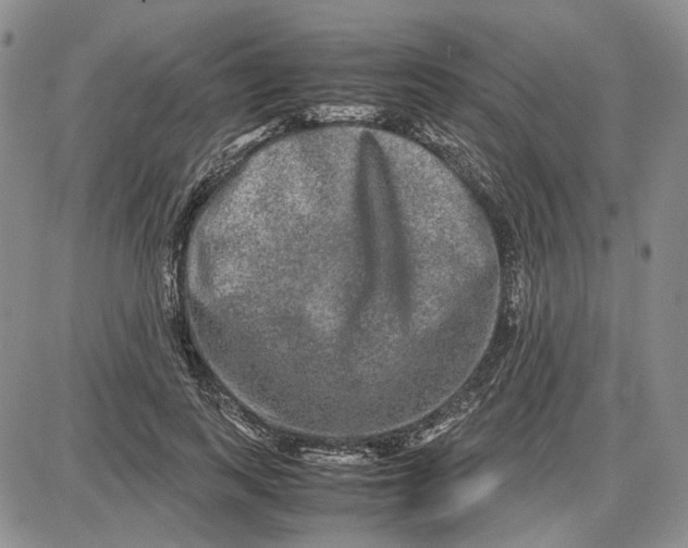 X0000087640743200705241239