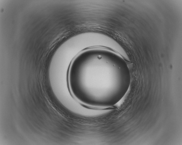 X0000087640744200705241239