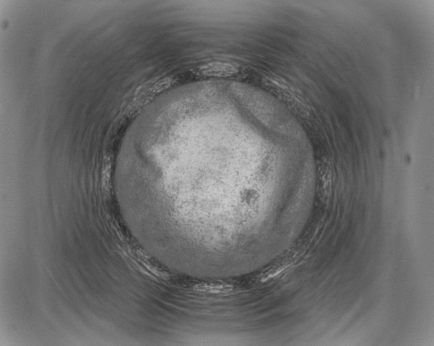 X0000087640745200705241239